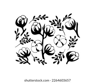 Collection  cotton flowers and leaves,  drawing hand drawn. Cotton balls, cotton fiber vector illustration. Perfect for greeting card. 