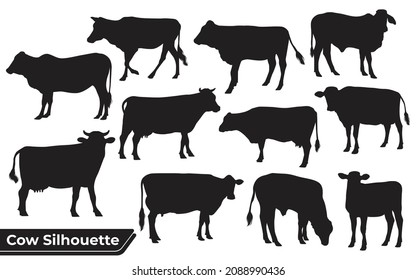 Collection of Cow Silhouette in different poses