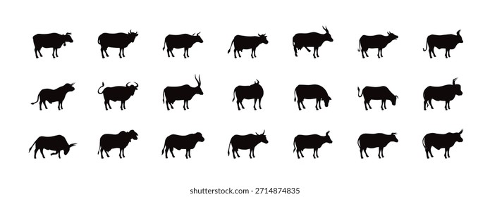 Colección de vacas y terneros en varias poses, ilustraciones de animales de granja para la agricultura, diseño de ganado, Elementos gráficos de agricultura rural, juego de Vectores, Ilustración vectorial.