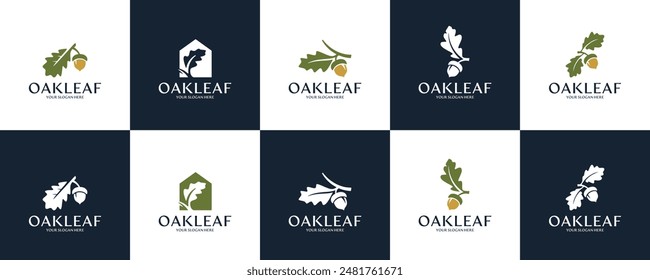 collection of creative logo oak leaves and acorns , squirrel , natural ecosystem  , logo design vector.