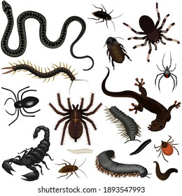 Collection of creepy insects, poisonous snakes, lizards, spiders, centipedes, worms, cockroaches and beetles. Vector illustration