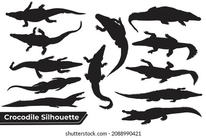 Collection of crocodile Silhouette in different poses