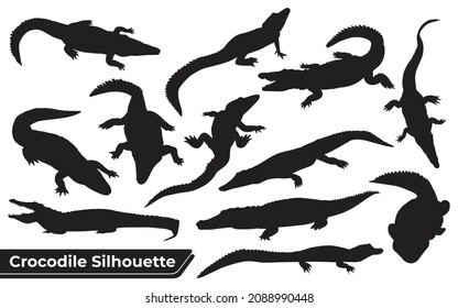 Collection of crocodile Silhouette in different poses