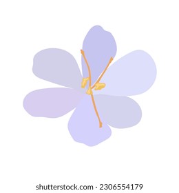 Collection of crocuses and saffrons. A set of spring purple, yellow and white crocuses. Vector illustration of beautiful multicolored flowers