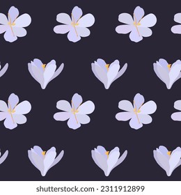 Collection of crocuses and saffrons. A set of spring purple, yellow and white crocuses. Vector illustration of beautiful multicolored flowers