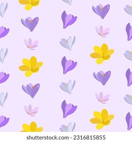 Collection of crocuses and saffrons. A set of spring purple, yellow and white crocuses. Vector illustration of beautiful multicolored flowers