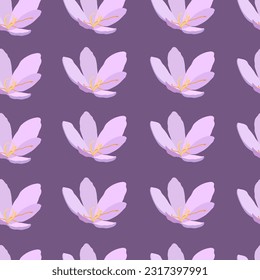 Collection of crocuses and saffrons. A set of spring purple, yellow and white crocuses. Vector illustration of beautiful multicolored flowers