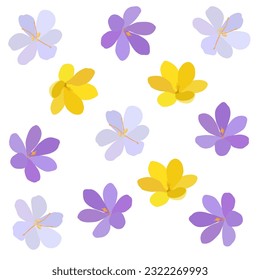 Collection of crocuses and saffrons. A set of spring purple, yellow and white crocuses. Vector illustration of beautiful multicolored flowers