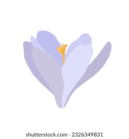 Sammlung von Krokodilen und Safronen. Eine Reihe von violetten, gelben und weißen Frühlingskreuzen. Vektorgrafik schöner mehrfarbiger Blumen