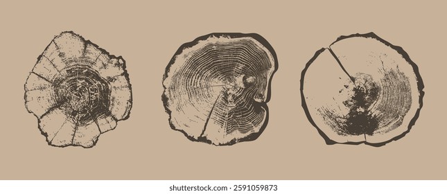 Collection of cross sections of tree growth rings. Set of tree stumps isolated. Natural cut wood. Ring pattern, wood texture. Slice of tree with growth rings, tree slabs trunk. Vector design elements