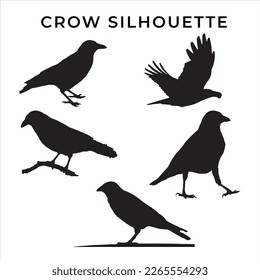 Collection of crow silhouette.Bird  silhouette vector illustration 