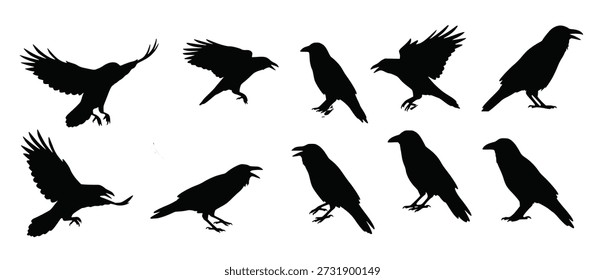 colección de cuervos representados como siluetas negras aisladas