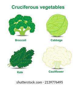 Collection Of Cruciferous Vegetables On A White Background