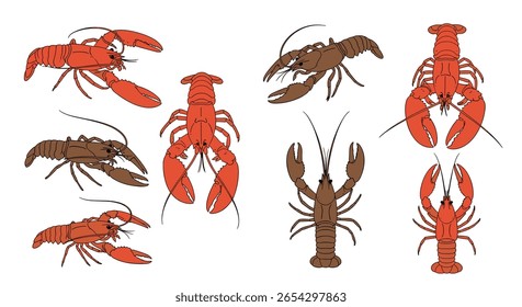 Coleção de formas de vida aquáticas de crustáceos com animais marinhos com garras em várias poses e sombras