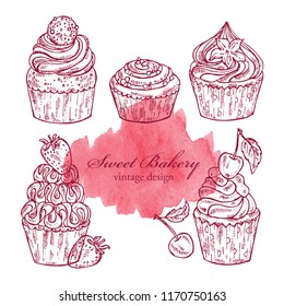 Collection of cupcakes. Vector hand drawn illustration.