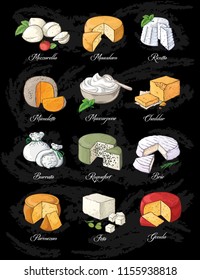 Collection of Cut sliced cheese assortment. Vector illustration