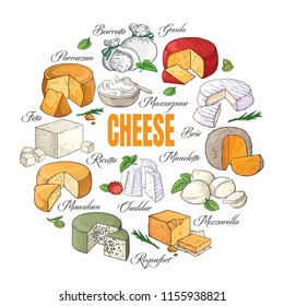 Collection of Cut sliced cheese assortment. Vector illustration.