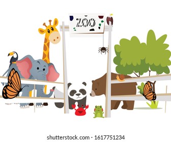 a collection of cute and adorable animals in the zoo