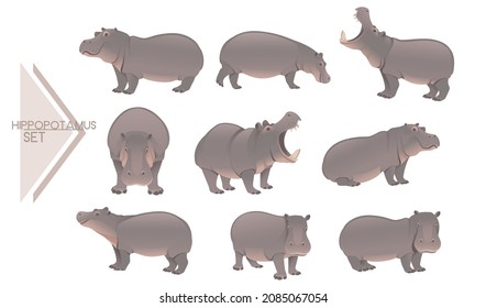 Collection of cute adult hippopotamus big mammal cartoon animal design vector illustration