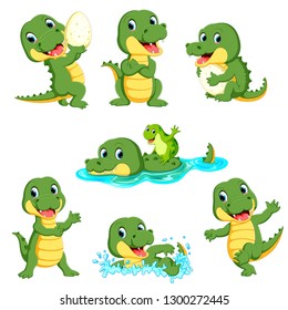 collection of cute alligator character cartoon