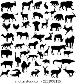 Collection of cute animal silhouettes on a white background