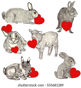 Collection with cute animals holding red hearts. Happy Valentines day