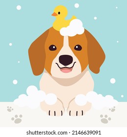 The Collection Of Cute Beagle Dog With Spa And Salon Theme In Flat Vector Style. Graphic Resource About Pet Grooming For Graphic, Content, Banner, Greeting Card.