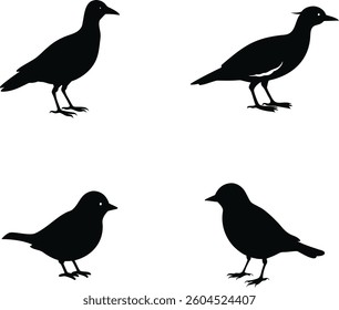 A collection of cute bird silhouettes in nature