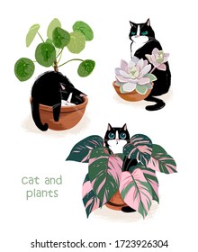 
A collection of cute black cat characters and trendy plants. Three types of indoor flowers in a cache-pot: pilea, succulent and calathea. Cute summer poster or postcard, print for t-shirts or textile