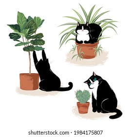 Colección de lindos gatos negros y plantas de moda. Tres tipos de flores interiores: Plantas ficus lyrata, cactus y arañas (Clorofhytum). Cartel de verano o postal, impreso para camisetas o textiles