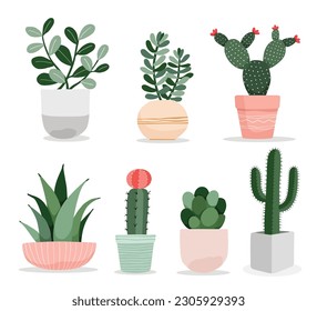 A collection of cute cactus and succulent plant in pots indoor plants in flat style vector illustration.