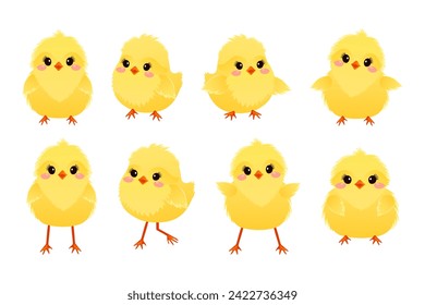 Collection of cute cartoon chickens. Yellow funny Easter chickens. Spring poultry babies in different poses. Vector illustration.