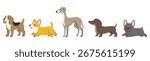 A collection of cute cartoon dogs of different breeds, including a Beagle, Corgi, Greyhound, Dachshund, and French Bulldog