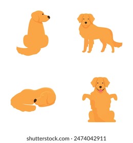 Collection of cute cartoon golden retrievers in different positions and expressions