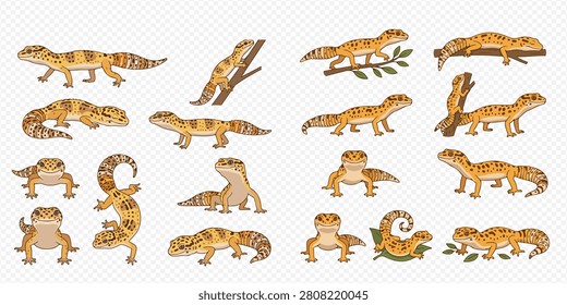 A collection cute cartoon