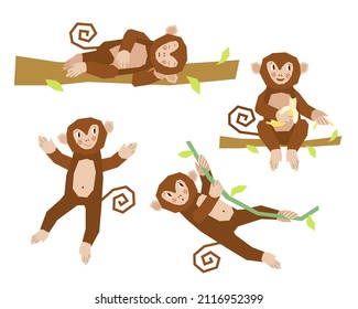 A collection of cute cartoon monkeys in different positions. The monkey sitting eats a banana, sleeps on a branch, dances and hangs on a liana. Vector illustration in flat style.