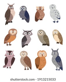 Collection of cute cartoon Owls. Set of flat vector illustrations isolated on white background