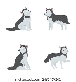 Collection of cute cartoon siberian huskies in different poses, isolated on a white background