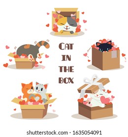 The collection of cute cat in the box with a lot of heart in flat vector style.Graphic resource for content , banner, sticker label and greeting card. 