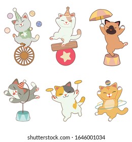 The collection of cute cat in the circus theme in flat vector style.Graphic resource about circus for banner, sticker label and greeting card