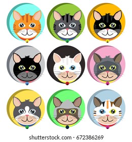 Collection of cute cat, face kitten. Vector icons and illustrations in trendy flat design style. For pet shop and other decoration design.
