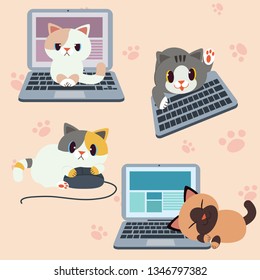 The collection of cute cat with laptop and keyboard and computer Mouse in flat vector style. Graphic resource about pet and technology.