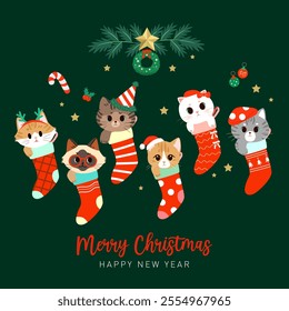 Collection of cute cats in Christmas socks. Illustrations for Christmas and New Year.