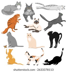 A collection of cute cats of different colors and breeds, isolated on a white background.Vector set of pets for textiles, postcards.