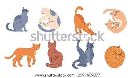 Collection of cute cats in different playful and relaxed poses in flat color style perfect for stickers posters packaging children designs and animal themed graphics
