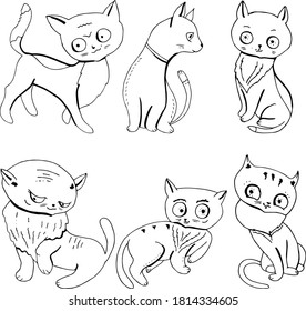 Collection with cute cats isolated on white