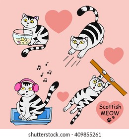 collection of cute cats Scottish