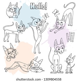 Collection of cute cats sphinxes. Vector illustration of different hand-drawn cats. Doodles, cartoon. For the design of the stickers. Black outline. Transparent background.