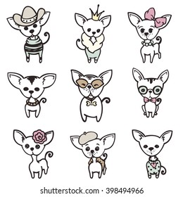 Collection of cute chihuahua with accessories, vector doodle illustration in vintage style..