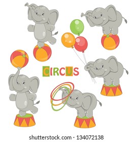 Collection of cute circus elephant on white background. Vector illustration